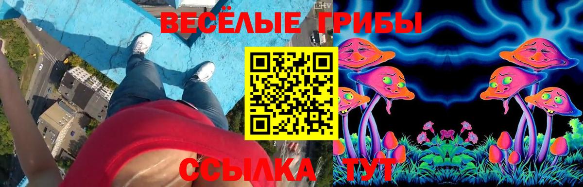 Дятьково  Галлюциногенные грибы мицелий  где можно купить наркотик  Галлюциногенные грибы GOLDEN TEACHER  Вход с VPN 
